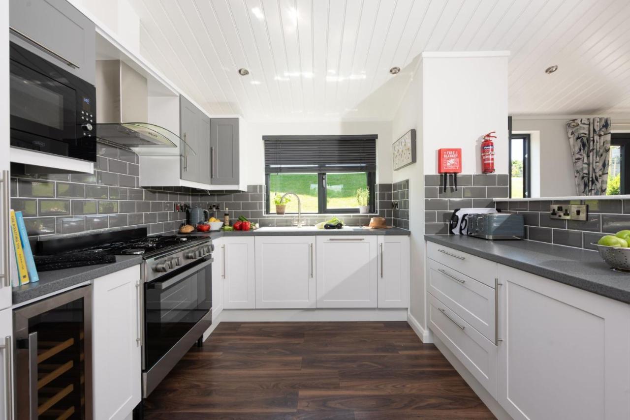 Lilac Lodge, 22 Roadford Lake Lodges Lifton エクステリア 写真